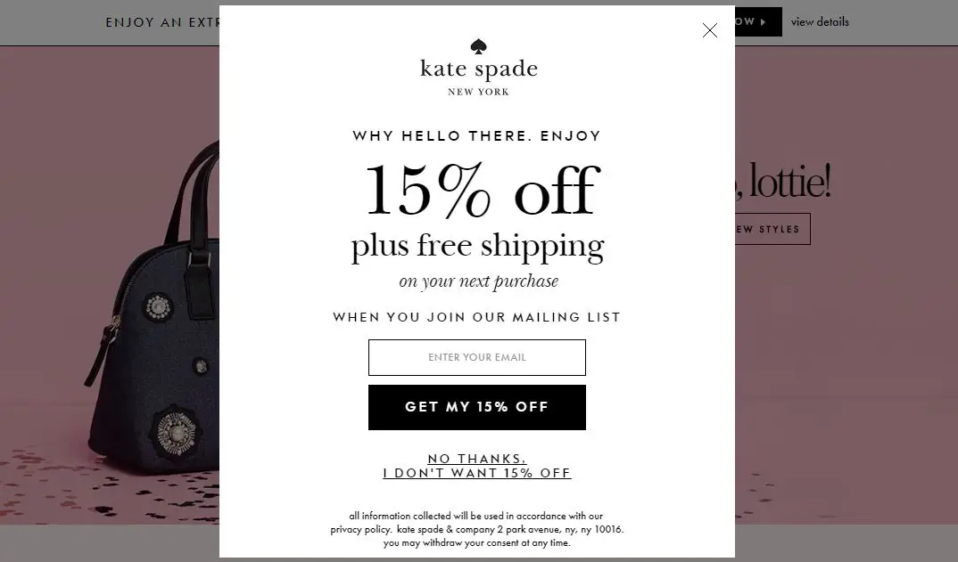 Kate Spade website overlay example