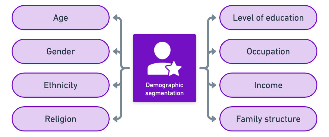 Demographic segmentation factors